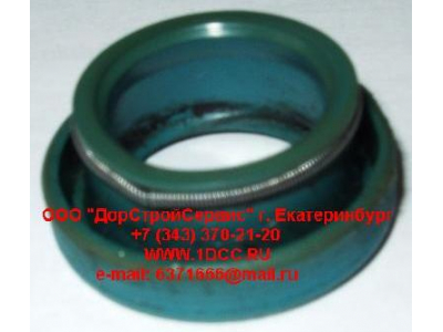 Сальник 35х11 трубки высокого давления H3 HOWO (ХОВО) VG1540040022 фото 1 Курск