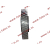 Шестерня привода распредвала промежуточная WD615/WP10 HOWO (ХОВО) VG1560050053/61560050053 фото 3 Курск